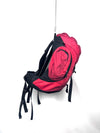 Salewa Baegdoo 28L hiking backpack