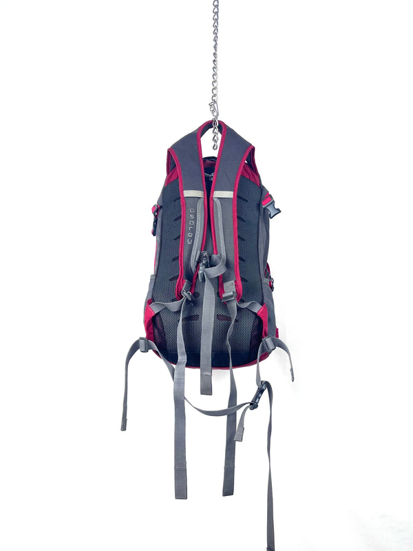 Osprey Daylite daypack